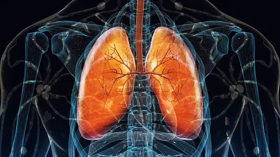 10 Best therapies in the fight against lung Cancer
